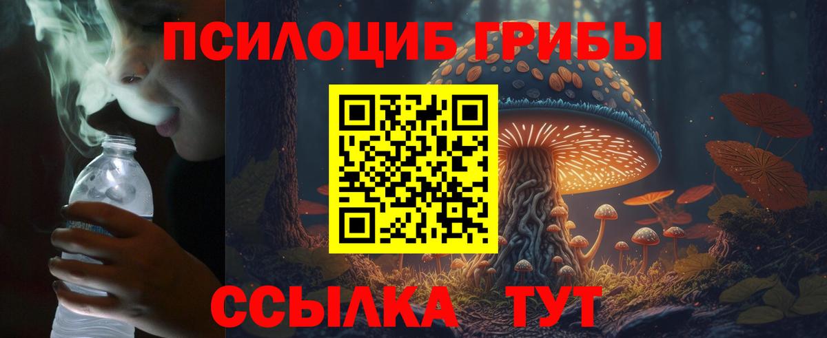 купить наркотики сайты  Псилоцибиновые грибы Cubensis  Вход с VPN  Конаково 