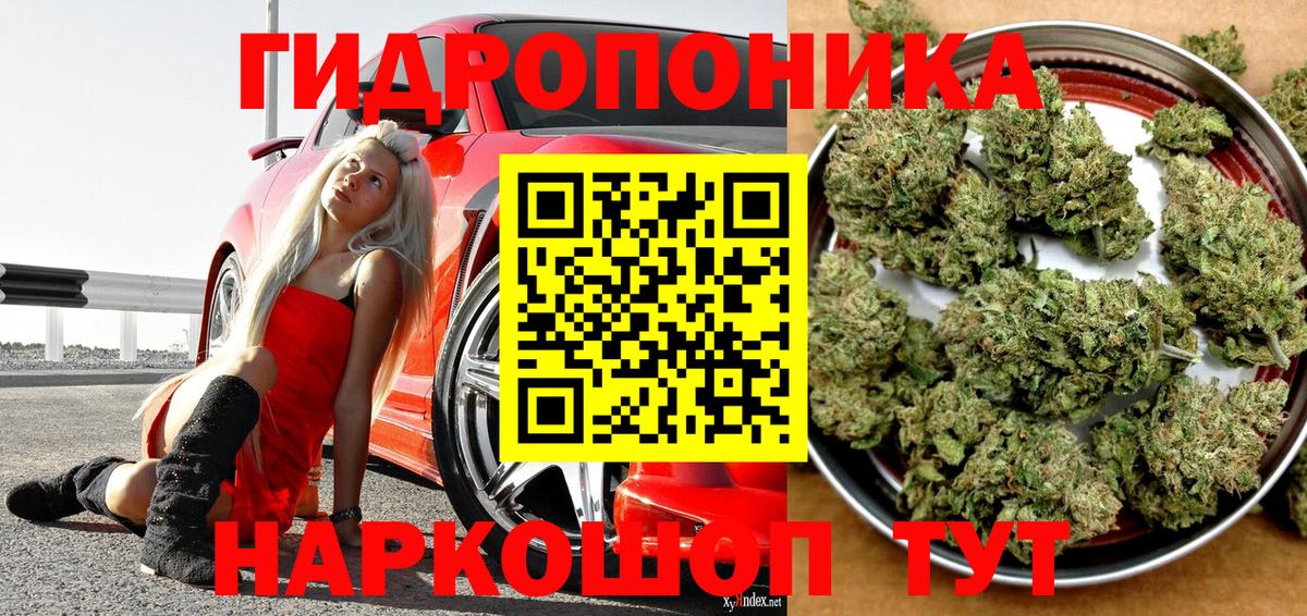 Бошки марихуана гибрид Конаково
